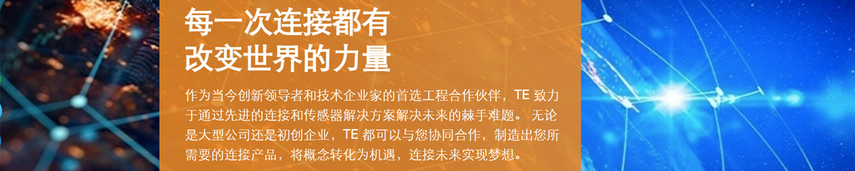 泰科電子（上海）有限公司